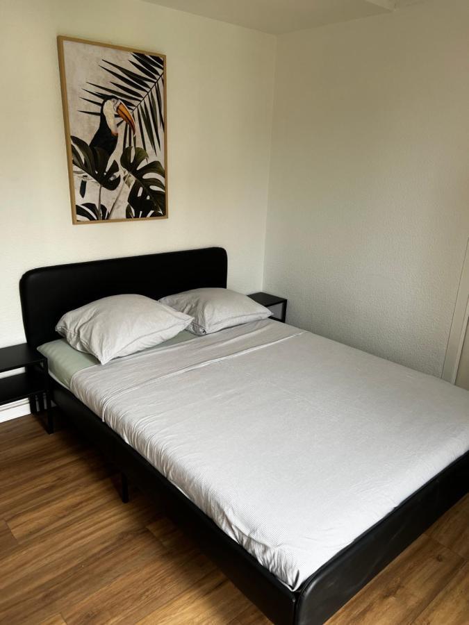 Appartement Prox Lycee Arago بيربينيو المظهر الخارجي الصورة